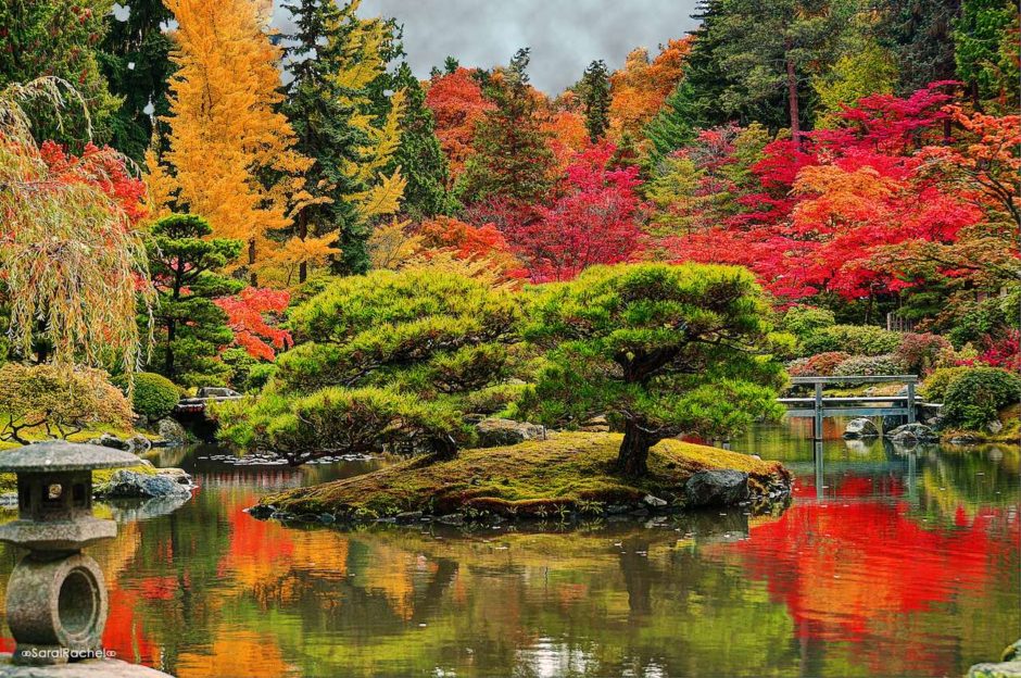 Image of a driveway in the autumn.